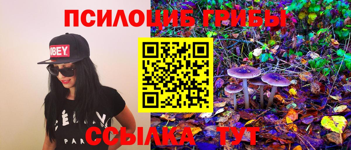 Псилоцибиновые грибы Psilocybe  Галлюциногенные грибы мицелий  Александров  закладки  Вход с VPN 